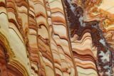 Polished Slab Of Rolling Hills Dolomite - Mexico #126744-1